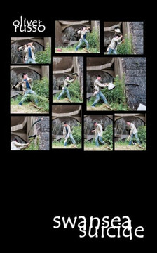 Swansea Suicide
