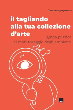Il tagliando alla tua collezione d'arte: guida pratica al monitoraggio degli ambienti