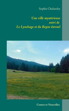 Une Ville Mystérieuse: Suivie De Le Lynchage Et Le Repos Éternel (French Edition)