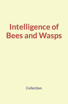 Intelligence Of Bees And Wasps
