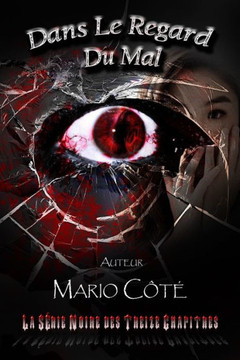 La Série Noire Des Treize Chapitres: Dans Le Regard Du Mal (French Edition)