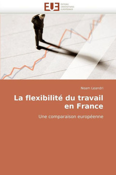 La Flexibilit?Du Travail En France