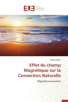 Effet Du Champ Magn?ique Sur La Convection Naturelle