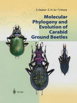 Molecular Phylogeny and Evolution of Carabid Ground Beetles Molecular Phylogeny and Evolution of Carabid Ground Beetles