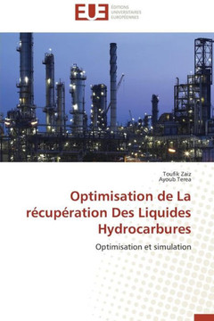Optimisation de la R?up?ation Des Liquides Hydrocarbures