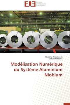 Mod?isation Num?ique Du Syst?e Aluminium Niobium