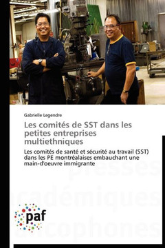 Les Comit? de Sst Dans Les Petites Entreprises Multiethniques