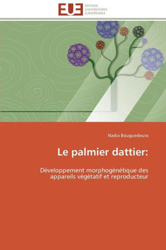 Le Palmier Dattier