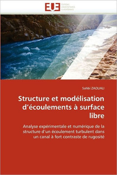 Structure Et Mod?isation D ?oulements ?Surface Libre