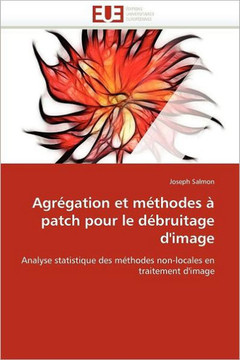 Agr?ation Et M?hodes ?Patch Pour Le D?ruitage d'Image