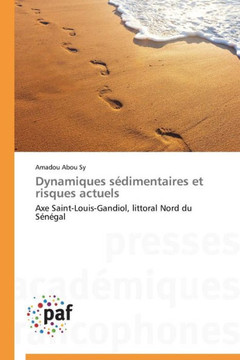 Dynamiques S?imentaires Et Risques Actuels