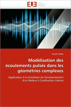 Mod?isation Des ?oulements Puls? Dans Les G?m?ries Complexes