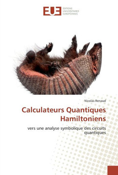 Calculateurs quantiques hamiltoniens