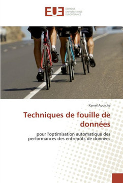 Techniques de fouille de donn?s