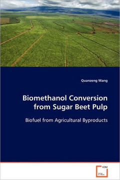 Biomethanol Conversion from Sugar Beet Pulp