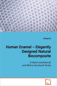 Human Enamel - Elegantly Designed Natural Biocomposite