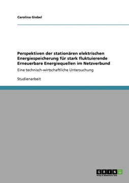 Perspektiven der station?en elektrischen Energiespeicherung f? stark fluktuierende Erneuerbare Energiequellen im Netzverbund: Eine technisch-wirtsch