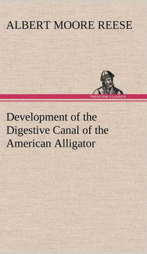 Development of the Digestive Canal of the American Alligator
