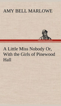 A Little Miss Nobody Or, With the Girls of Pinewood Hall