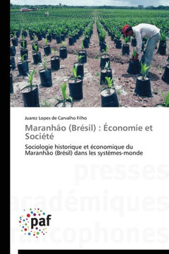 Maranhão (Brésil): Économie Et Société