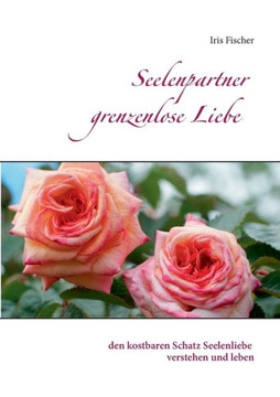 Seelenpartner grenzenlose Liebe: den kostbaren Schatz Seelenliebe verstehen und leben