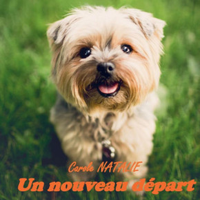 Un Nouveau Départ (French Edition)