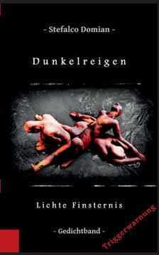 Dunkelreigen: Lichte Finsternis