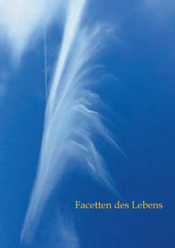 Facetten des Lebens: Eine Anthologie der Schreibgruppe Ludwigsburg