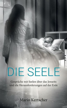 Die Seele: Gespr?che mit Seelen ?ber das Jenseits und die Herausforderungen auf der Erde