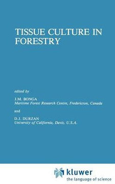 Tissue Culture in Forestry