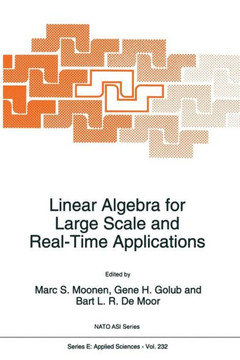 Linear Algebra for Large Scale and Real-Time Applications