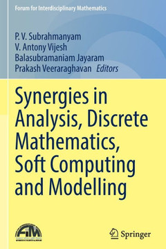 Synergies in Analysis, Discrete Mathematics, Soft Computing and Modelling