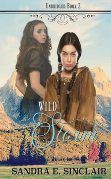 Wild Storm (The Unbridled Series)