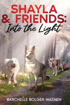 Shayla & Friends: Into the Light