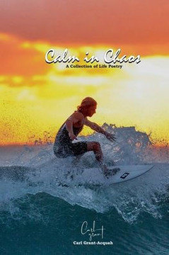 Calm in Chaos Calm in Chaos