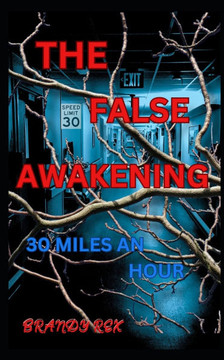 The False Awakening