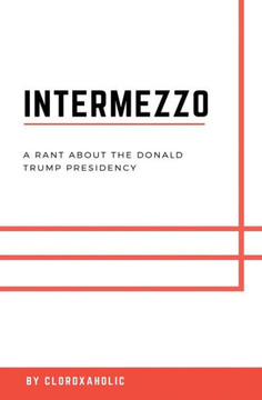 Intermezzo: A Rant About The Donald Trump Presidency