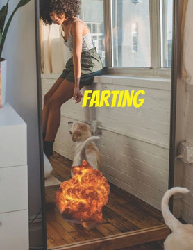 Farting: the farting coloring book for kids (dogs, cats, birds & men)