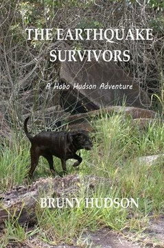 The Earthquake Survivors: A Hobo Hudson Adventure