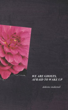 We Are Ghosts, Afraid To Wake Up