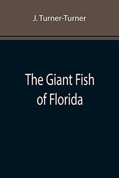 The Giant Fish Of Florida The Giant Fish Of Florida