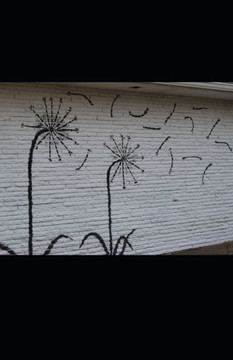 Sunflower Bones: A Collection of Poetry