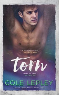 Torn: A College Sports Romance