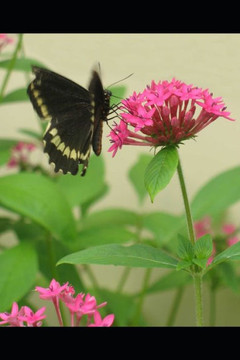 Out of the Cocoon: Children's Stories Written by Children