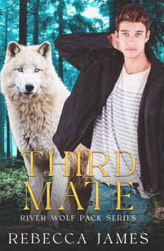 Third Mate: An MM Paranormal Shifter Mpreg Romance