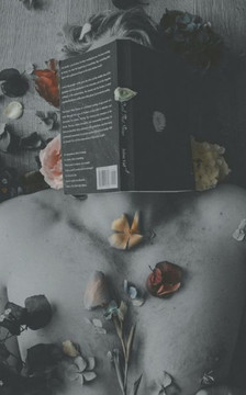 The Dark That Shines