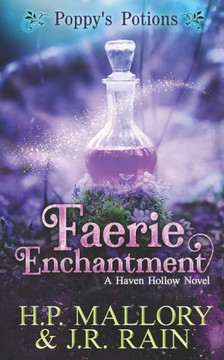 Faerie Enchantment: A Paranormal Women's Fiction Novel