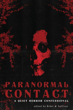 Paranormal Contact: A Quiet Horror Confessional