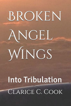 Broken Angel Wings: Into Tribulation