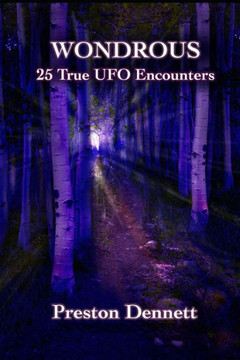 Wondrous: 25 True UFO Encounters